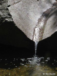 Humboldt Canyon Water