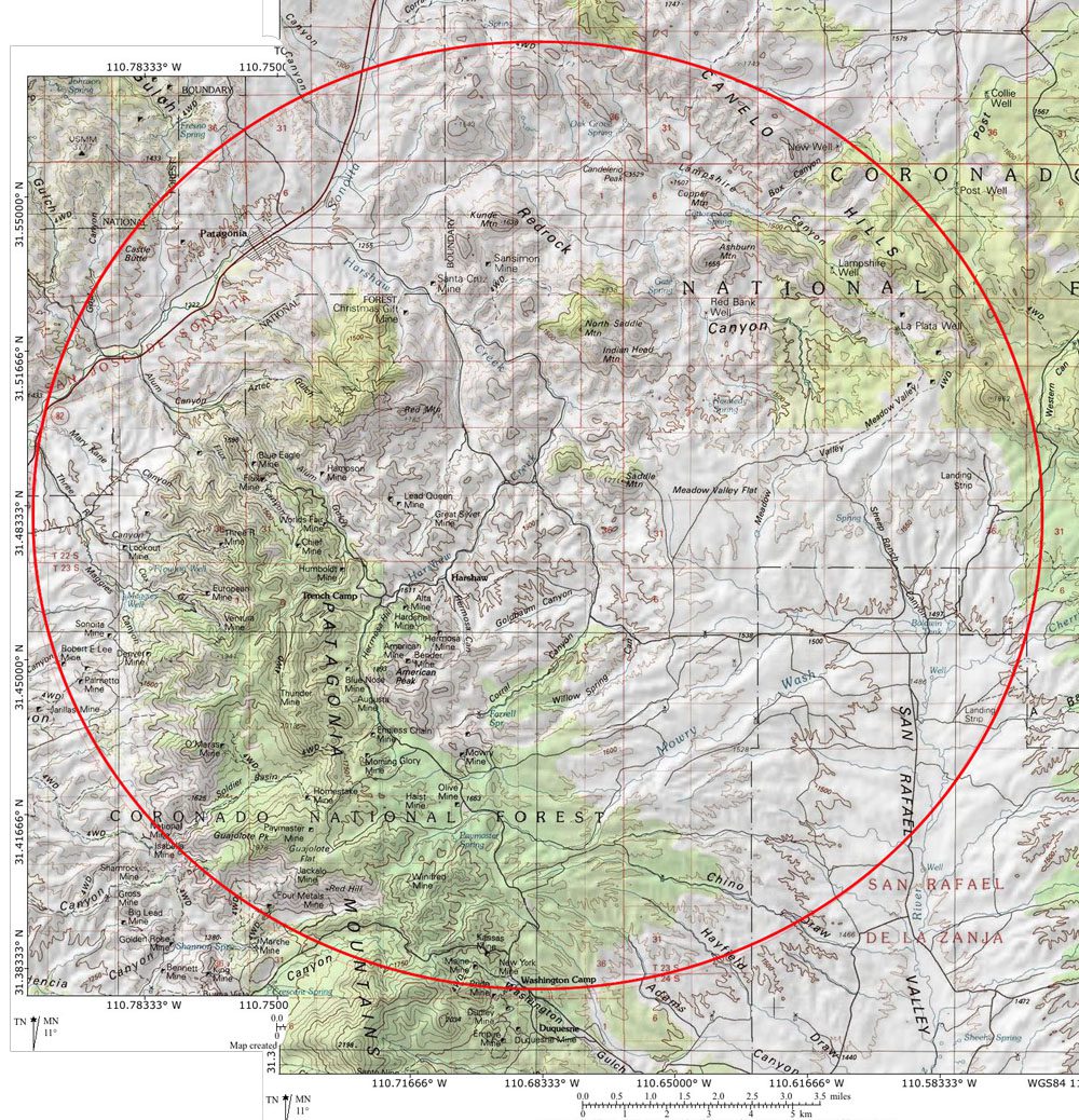 Christmas Bird Count in Patagonia, AZ Patagonia Alliance
