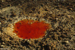 Water seepage from abandoned mine in Patagonia Mountains. ©Glen E Goodwin