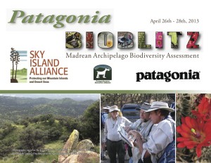 Patagonia BioBlitz