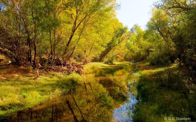 Sonoita Creek, part of the Patagonia Municipal Water Supply ©Glen E Goodwin