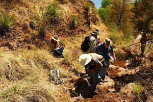 Dr. Van Devender & scientists in Harshaw Creek