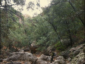 ￼Board member Gooch hiking Humboldt Canyon