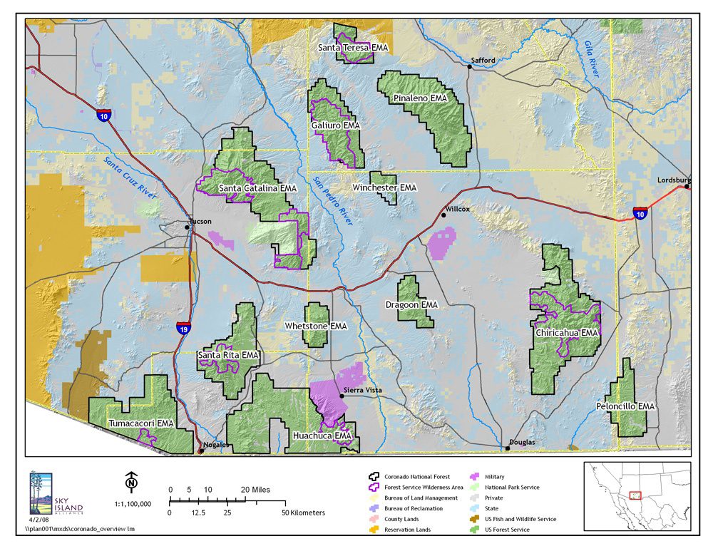 Coronado National Forest. Image ©Sky Island Alliance