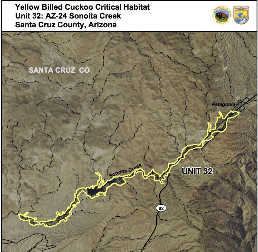 Sonoita Creek Cuckoo Proposed Habitat: Unit 32_AZ_24