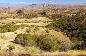 Proposed Rosemont Mine Site