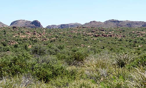 Oak Flat photo by Hunter Kerhart