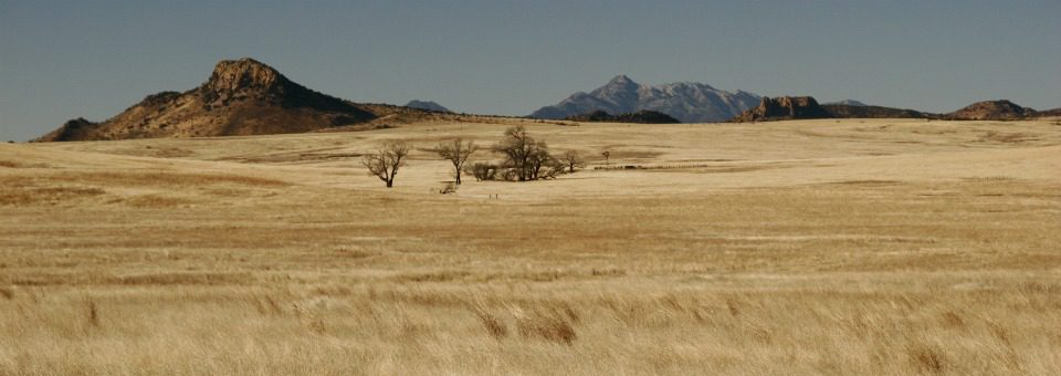 Saddle Mountain with Santa Rita Mountains in the background, San Rafael Valley, Patagonia, AZ © Glen E Goodwin