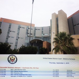 federal court in Tucson
