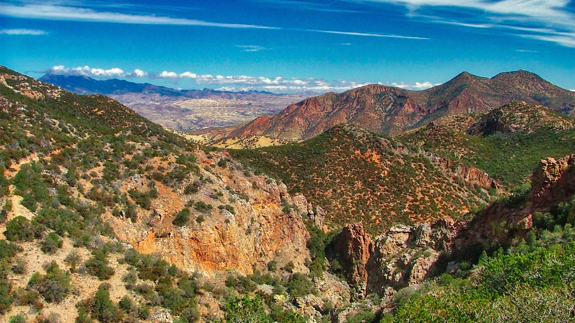 Citizen Scientists: The Unsung Heroes Protecting Wildlife at The Border