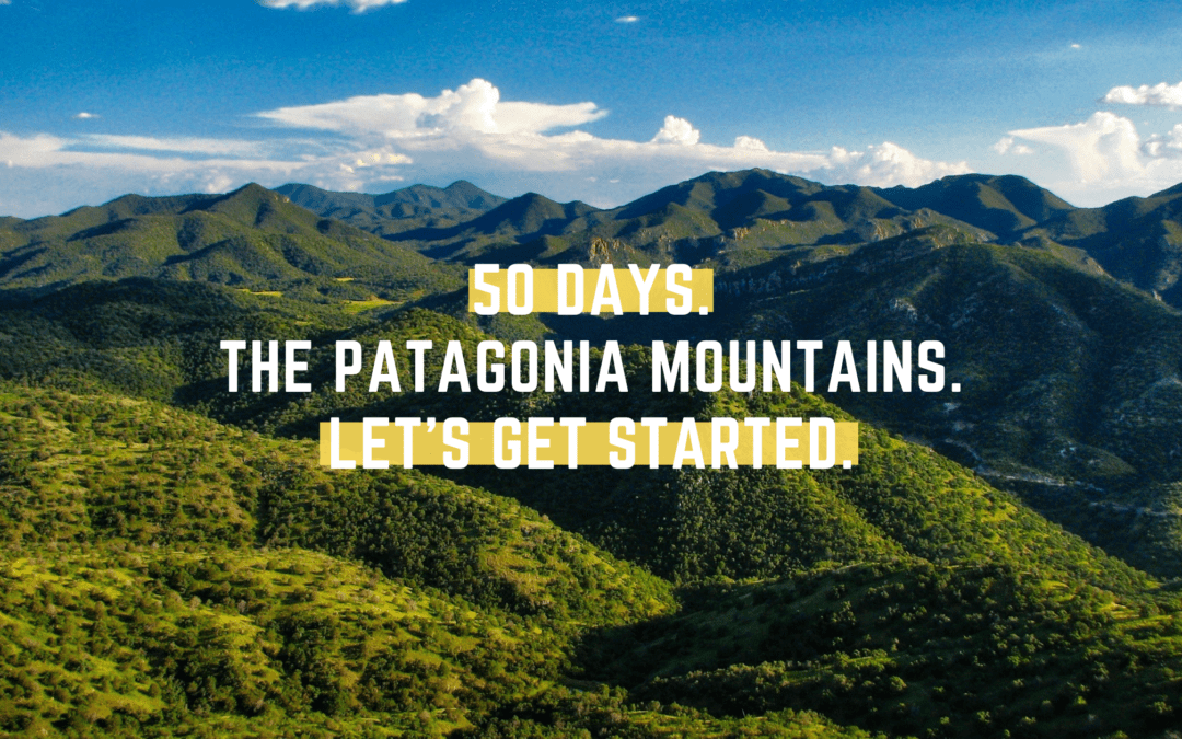 50 Days to Take Action and Defend the Patagonia Mountains