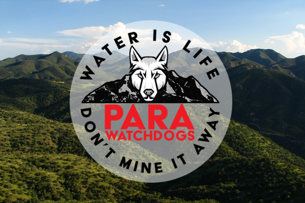(c) Patagoniaalliance.org