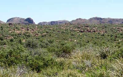 Oak Flat Named One of America’s Most Endangered Historic Places