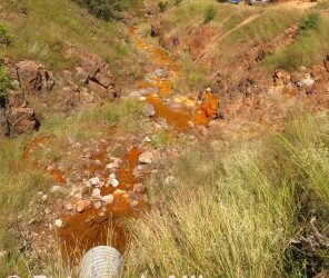 Toxic Mining Contaminants Threaten People and Wildlife in Arizona